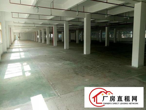  寮步标准厂房一楼1000方出租
