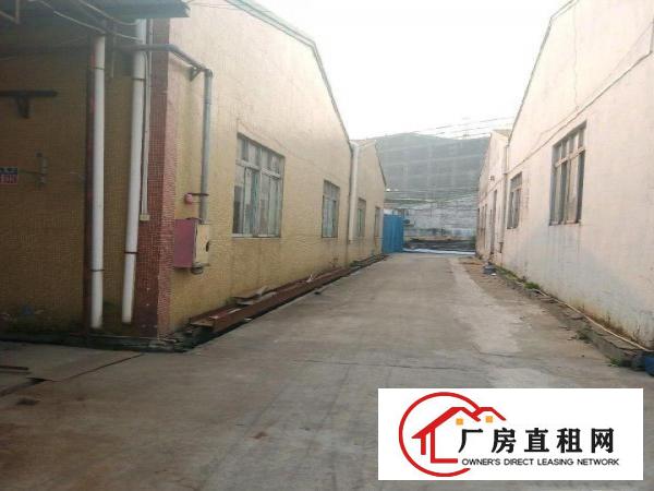  寮步新出钢构厂房出租
