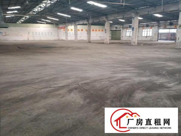  寮步新出钢构厂房出租