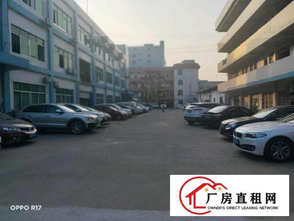  私人厂房，无公摊，实际面积出租
