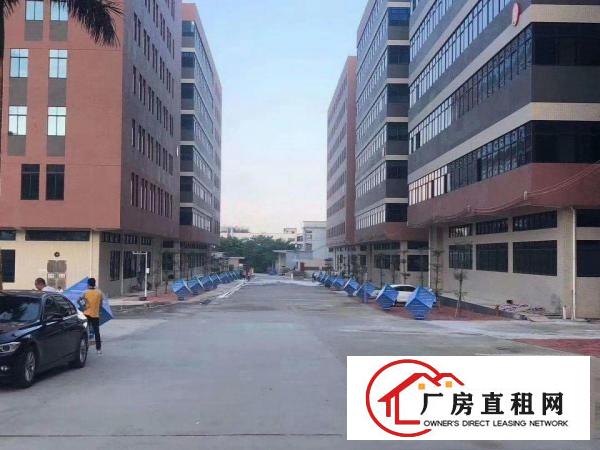  私人厂房，无公摊，实际面积出租