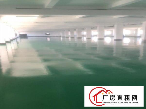  私人厂房，无公摊，实际面积出租