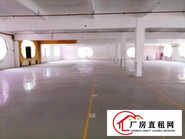  寮步新出工业园区厂房