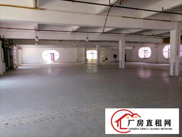  寮步新出工业园区厂房
