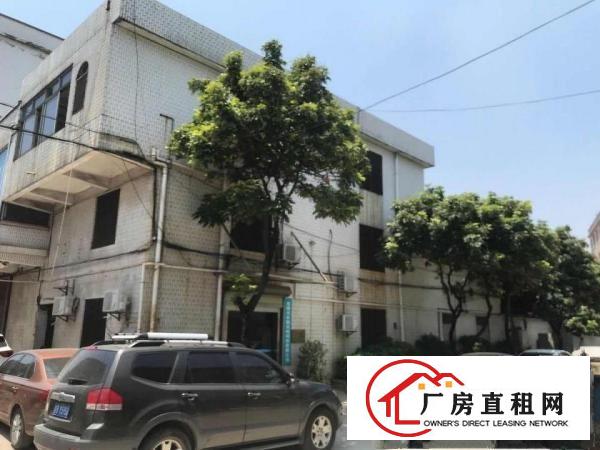  寮步新出原房东一楼750方出租