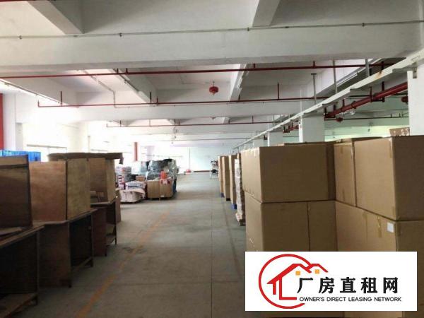  寮步新出楼上1500个方便宜出租