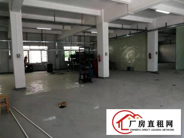  寮步横坑标准独院分租小面积500平方，无公摊，交通方便！