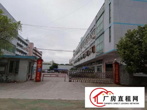  寮步横坑标准独院分租小面积500平方，无公摊，交通方便！