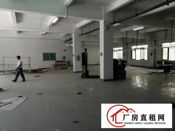  寮步横坑标准独院分租小面积500平方，无公摊，交通方便！