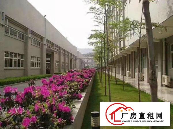  寮步镇经典独院厂房6500平方空地免费用交通方便