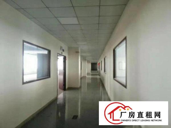  寮步镇经典独院厂房6500平方空地免费用交通方便