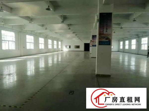 寮步镇经典独院厂房6500平方空地免费用交通方便