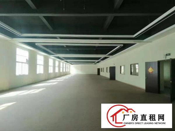  寮步镇经典独院厂房6500平方空地免费用交通方便