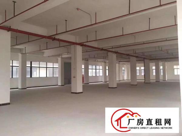  寮步镇原房东出租标准重工业厂房一楼层高6米