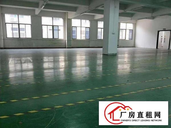  寮步镇原房东出租标准重工业厂房一楼层高6米