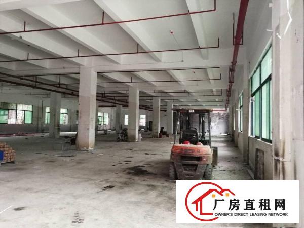  寮步原房东独院标准厂房1350出租，交通方便，面积足够无公摊