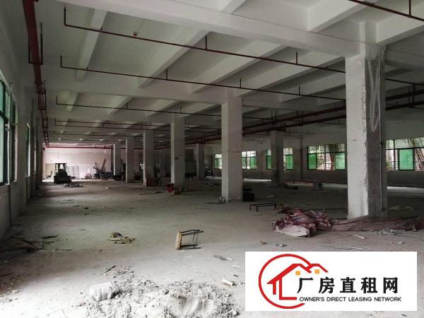  寮步原房东独院标准厂房1350出租，交通方便，面积足够无公摊