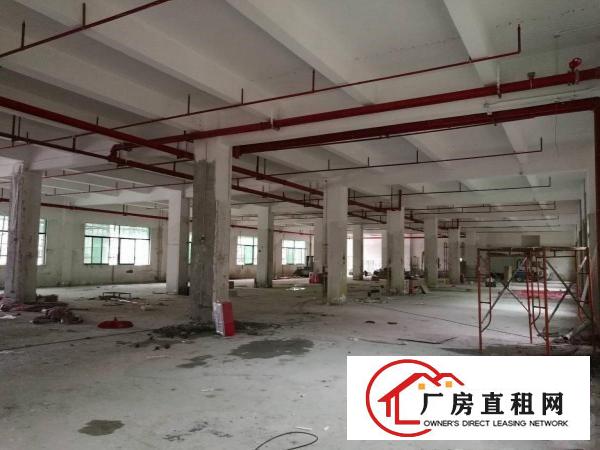  寮步原房东独院标准厂房1350出租，交通方便，面积足够无公摊