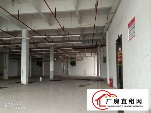  寮步原房东独院标准厂房1350出租，交通方便，面积足够无公摊