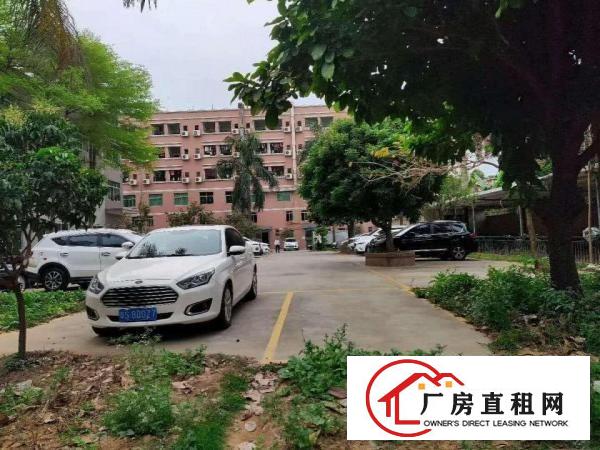  寮步原房东独院标准厂房1350出租，交通方便，面积足够无公摊