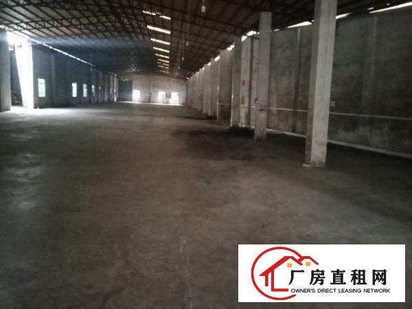  寮步新出3000平单一层独院钢构，滴水6米，大小可随意分！