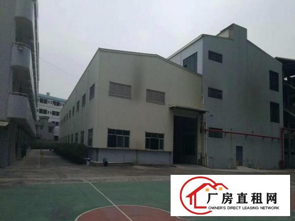  寮步新出钢结构5000方，可以任意分租
