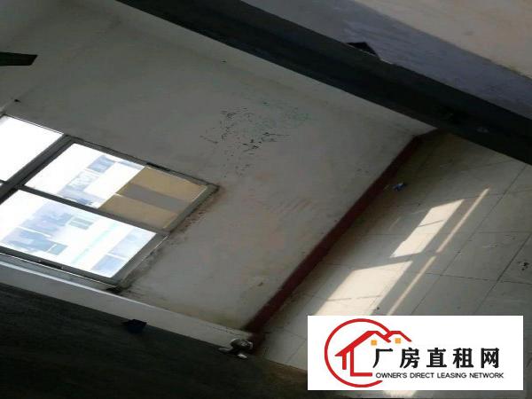  自有厂房出租，二楼带电梯。