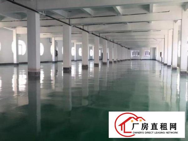  个人出租，带地坪漆厂房