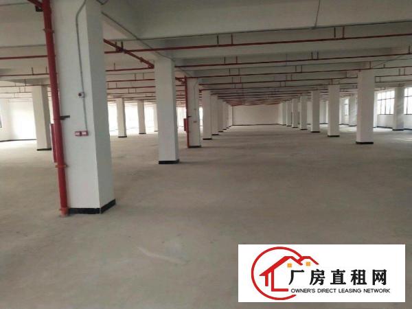  寮步镇西溪村大进工业区一楼2300平方标准厂房出租