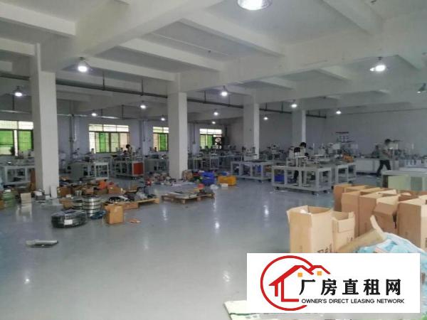  寮步石龙坑独院现成装修800平方标准厂房招租