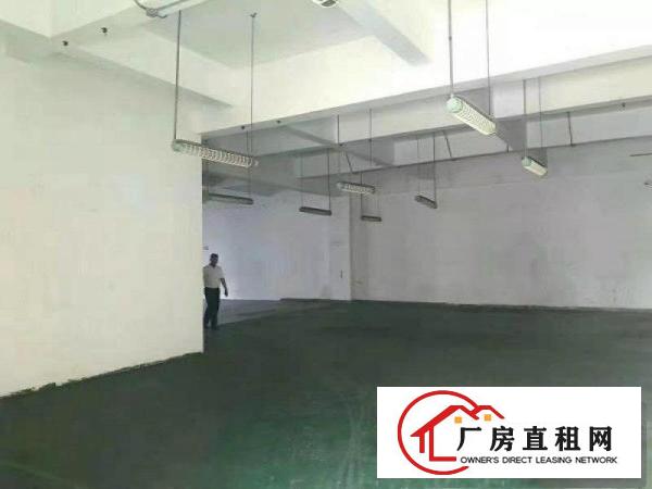  寮步镇新出原房东独院厂房4500平米带豪华装修