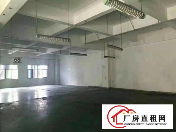  寮步镇新出原房东独院厂房4500平米带豪华装修