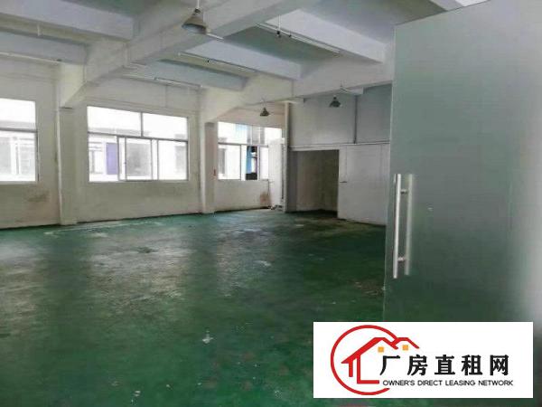  寮步镇新出原房东独院厂房4500平米带豪华装修