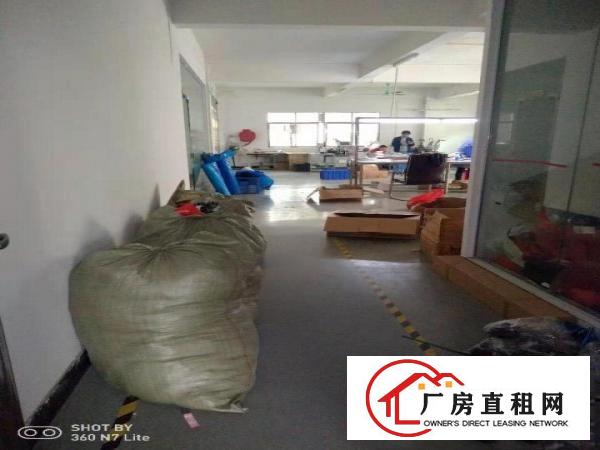  急租工业园原房东出租一楼350平方，实际面积无公摊，租金便宜