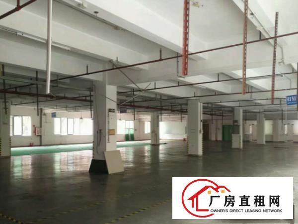  寮步泉塘工业区标准独院厂房800平方出租豪华装修