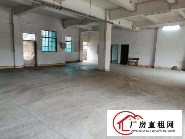  原房东出租一楼300平方，大马路边上，交通便利