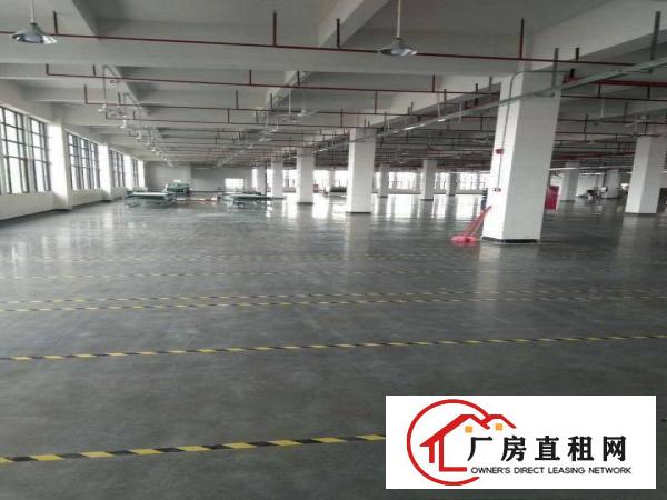  寮步大型工业区分租厂房一楼2000平方，楼上3000平方