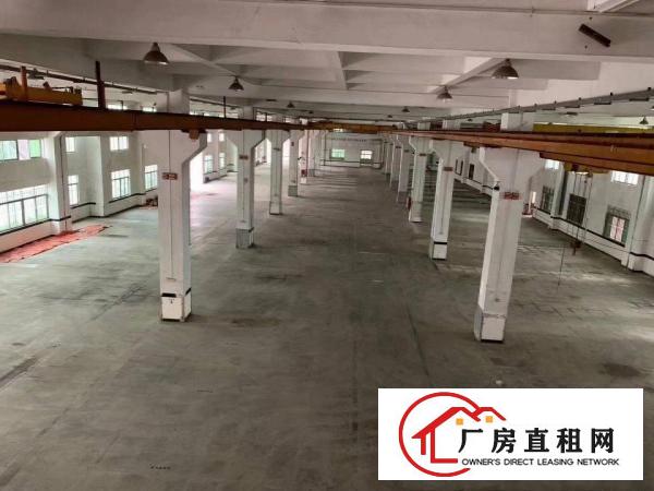  寮步大型工业区分租厂房一楼2000平方，楼上3000平方