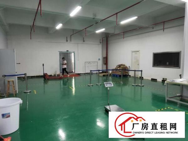  寮步上屯新出楼上1000平全新地坪漆精装修