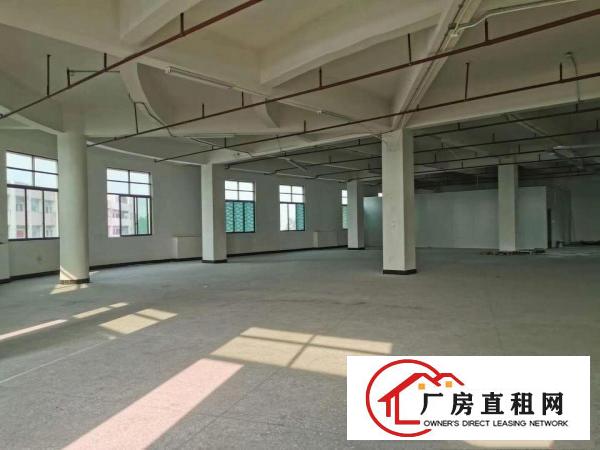  急租！寮步刚搬空仓库350平出租交通方便实际面积无公摊
