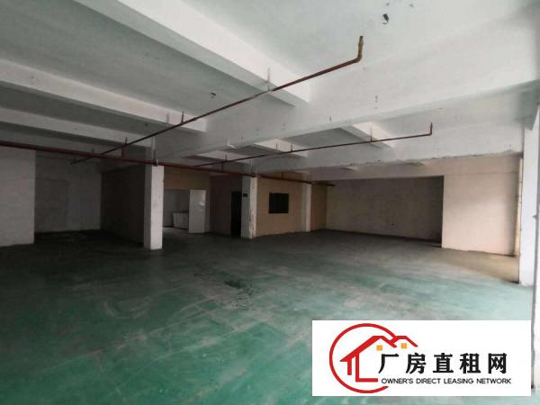  寮步霞边标准独院厂房分租500平方现成装修.