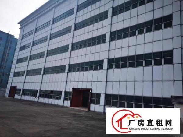  大岭山原房东独院标准厂房出租空地大面积实量带消防喷淋可办环评