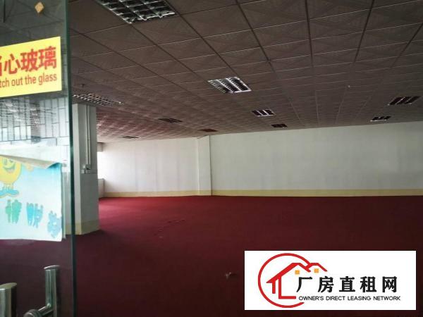  大岭山原房东独院标准厂房出租空地大面积实量带消防喷淋可办环评