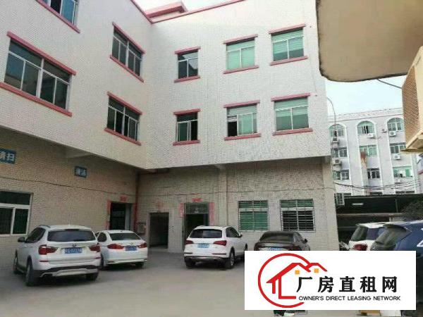  寮步镇新出标准厂房一楼800平方出租