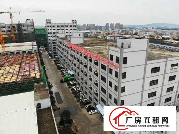  华南工业园大型重工业厂房4楼特价出租