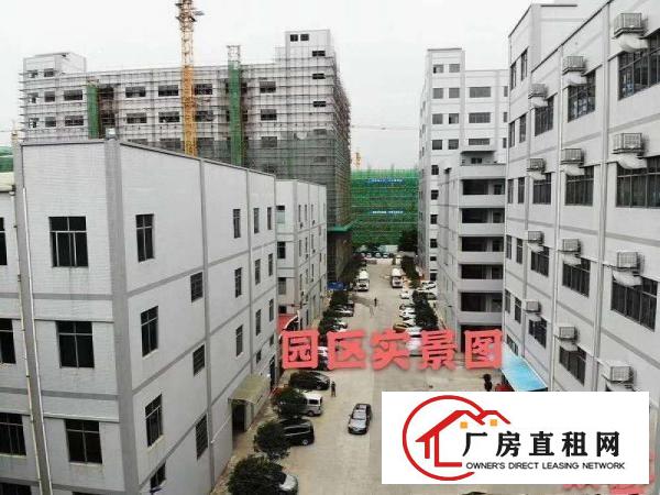  华南工业园大型重工业厂房4楼特价出租