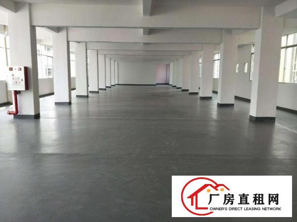 华南工业园大型重工业厂房4楼特价出租