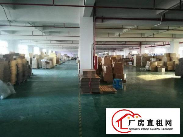  寮步井巷原房东独院厂房出租8600平方,九成新