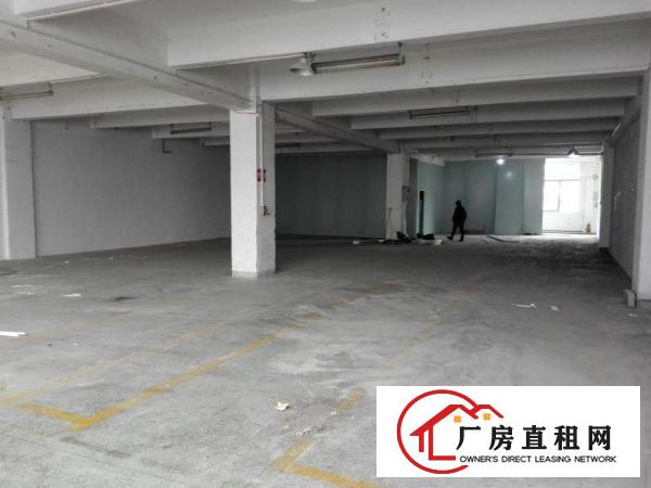  一楼厂房出租面积350平方米