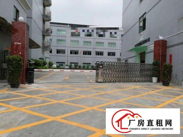  寮步西溪带豪华装修标准厂房600平方出租入驻可生产
